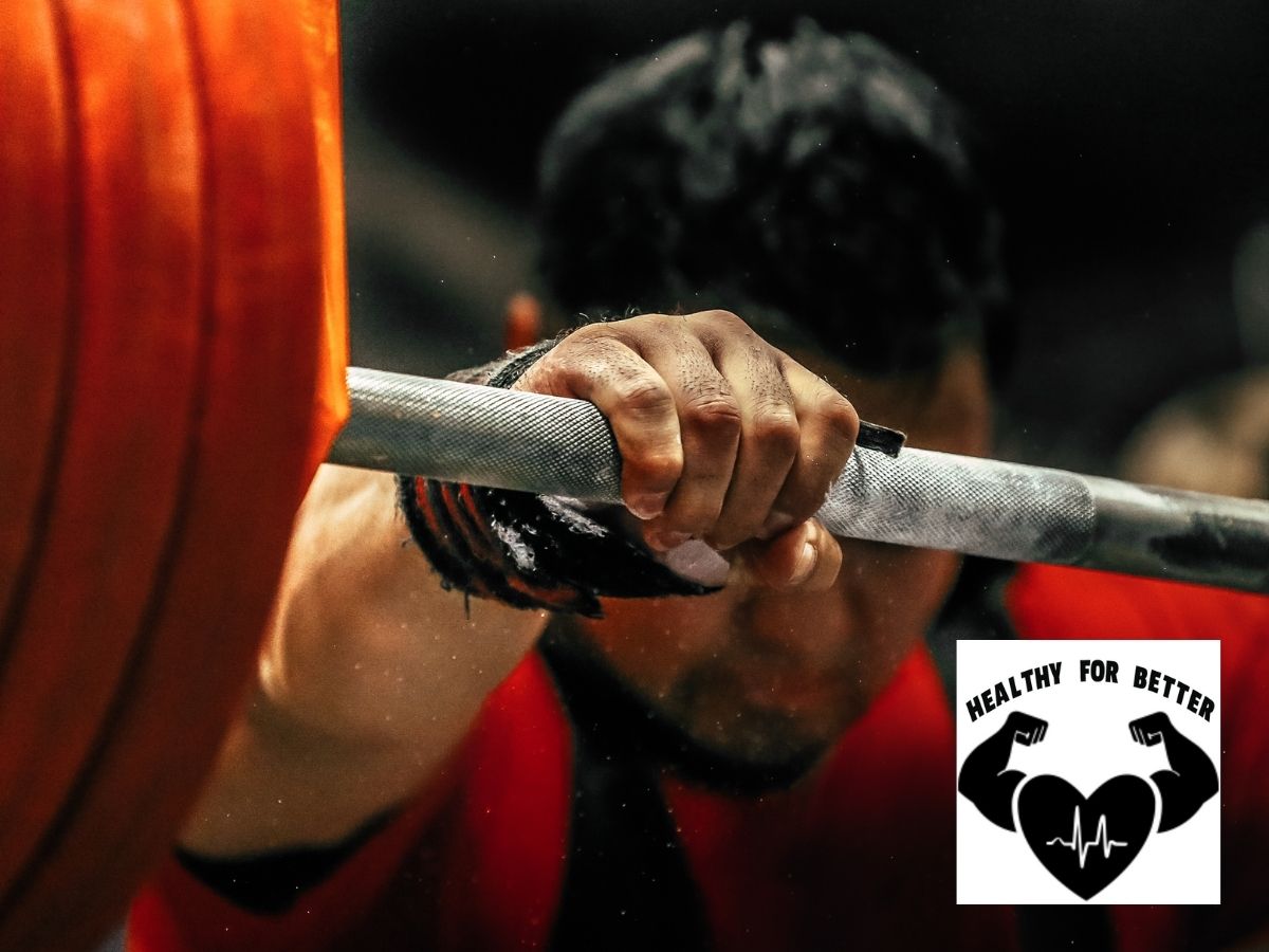 Powerlifting Standards Strength Benchmarks Based on Your Body Weight